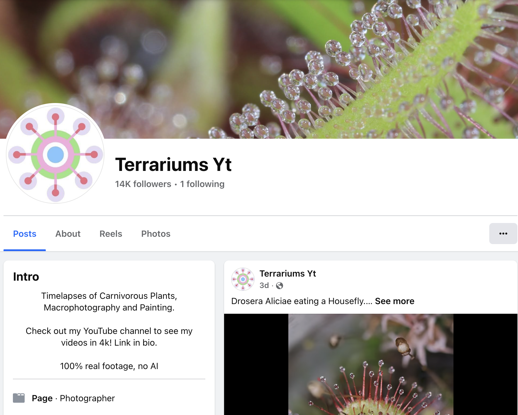 Facebook page for Terrariums Yt featuring a macro photo of a sundew plant covered in water droplets.