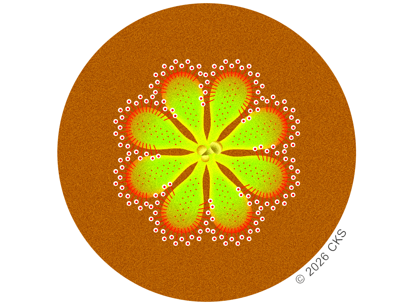 Illustration of a six-lobed green and yellow flower with red radiating stamens and white-tipped anthers on an orange circular background