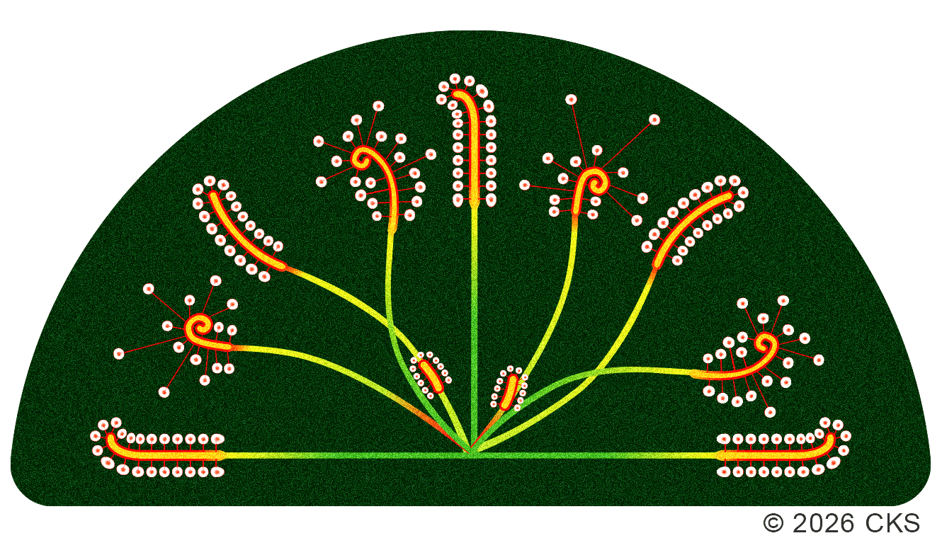 Illustration of a fern reproductive structure with branching fronds, curled tips, and rows of white spores on a dark green background