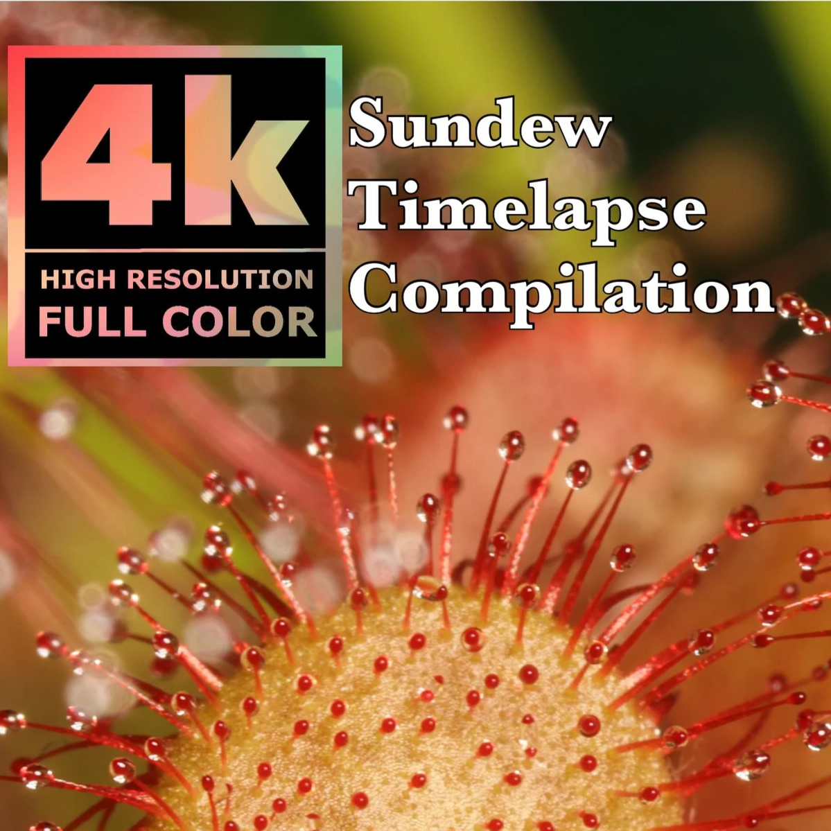 Compilations