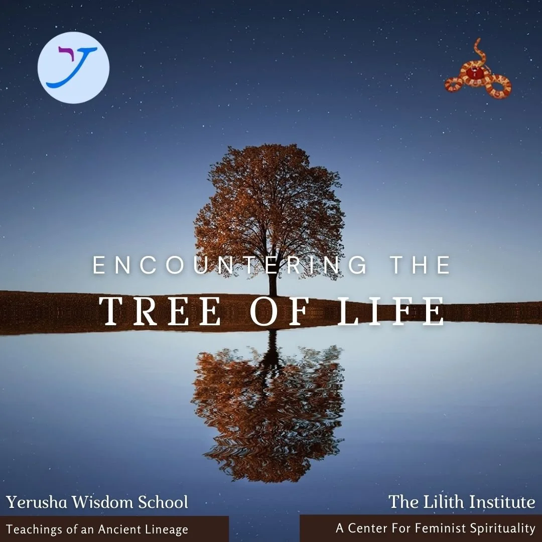 Encountering the Tree of Life—Part 1: Unveiling the Tree
