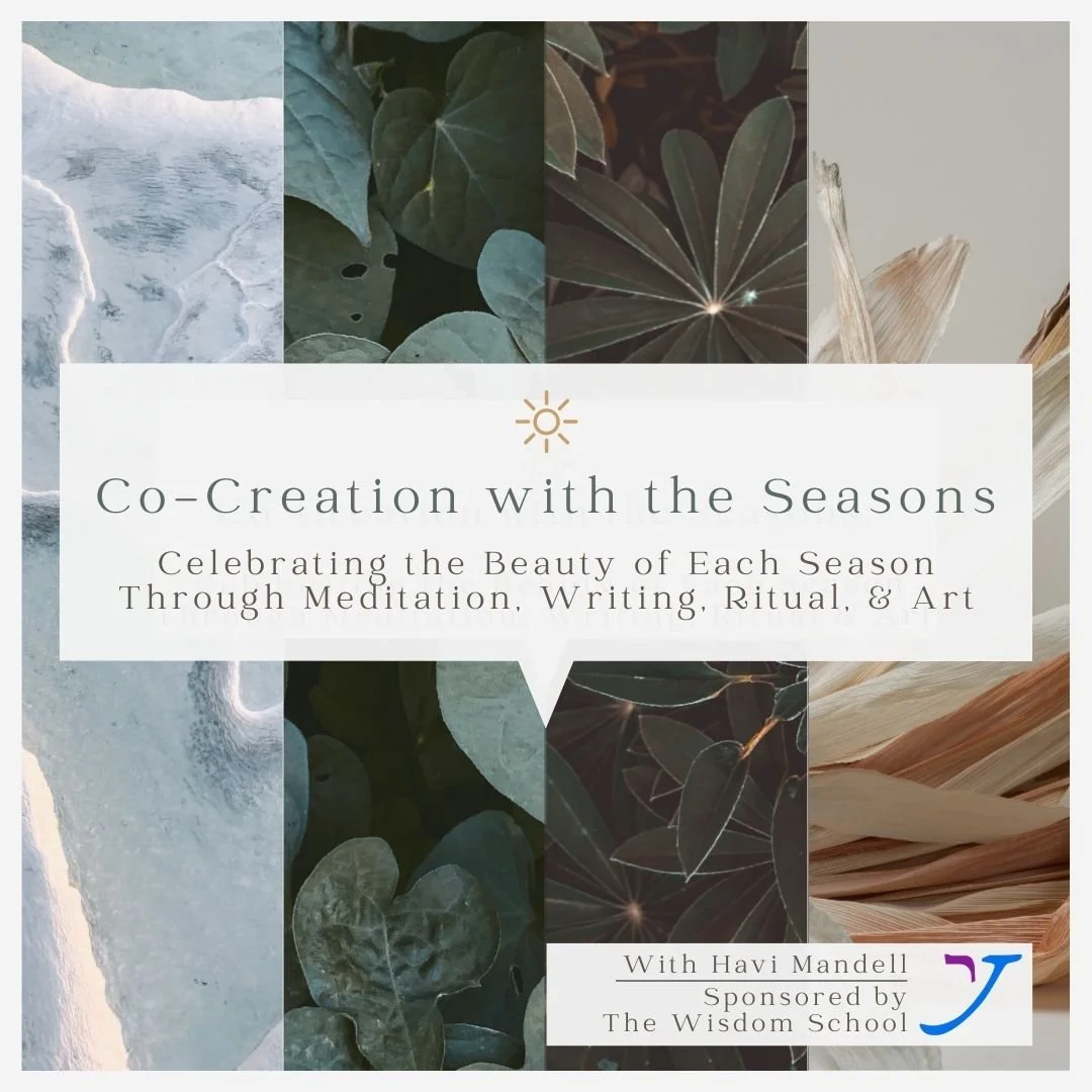 Co-Creation With The Seasons