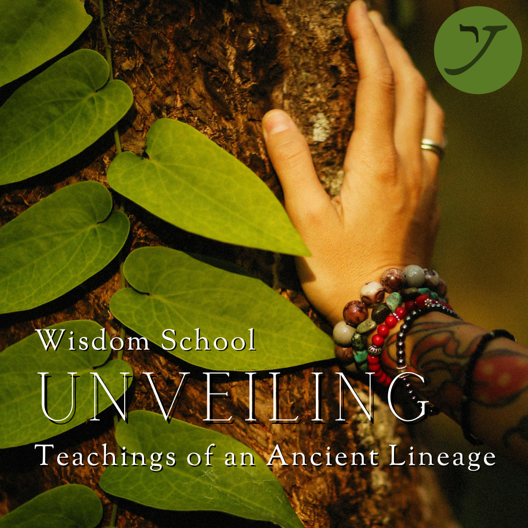 Wisdom School: Unveiling