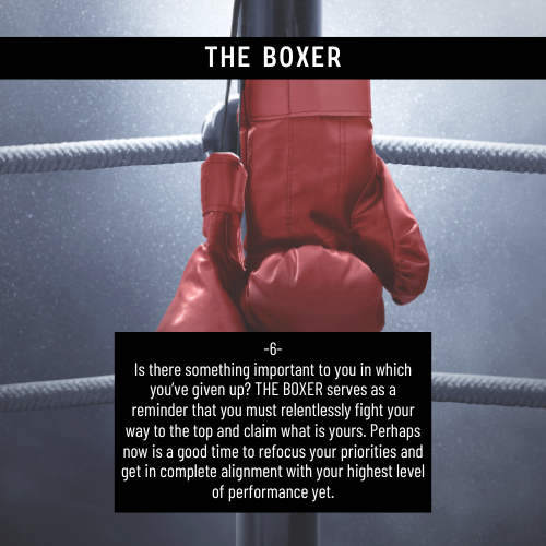 5D Athlete Empowerment Cards_The Boxer Card.png