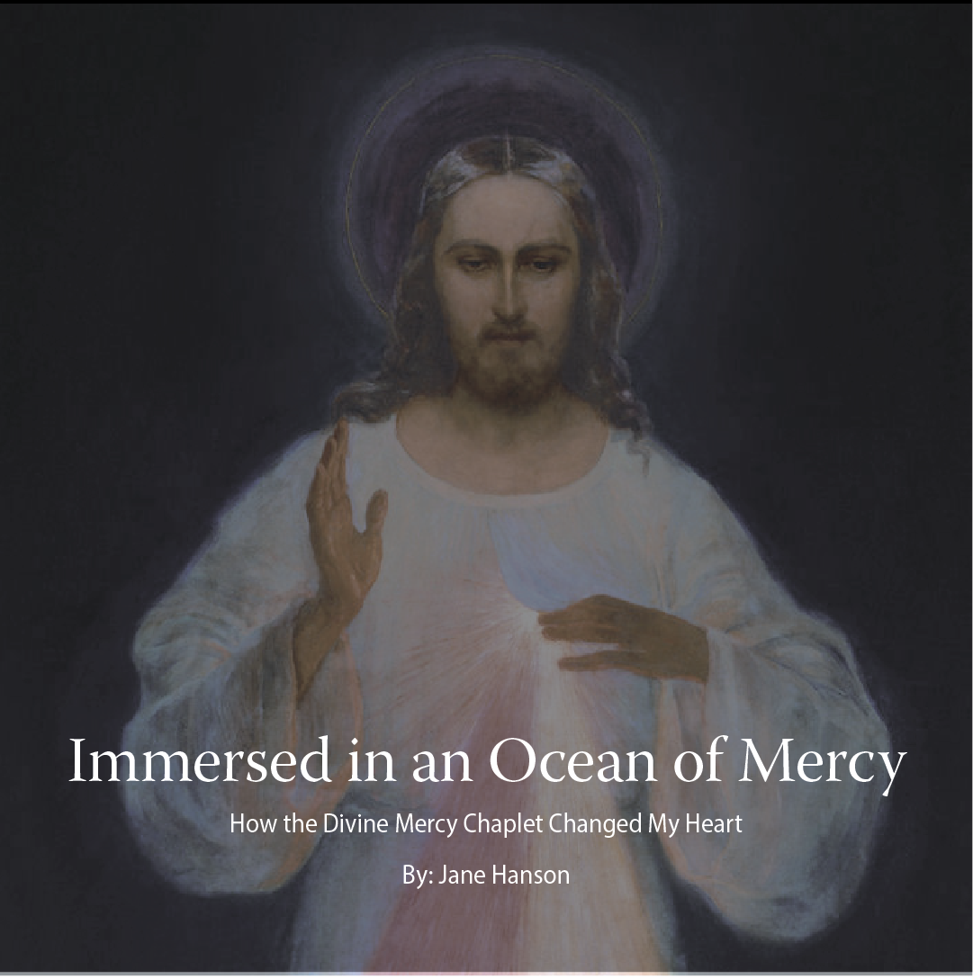 Immersed in an Ocean of Mercy