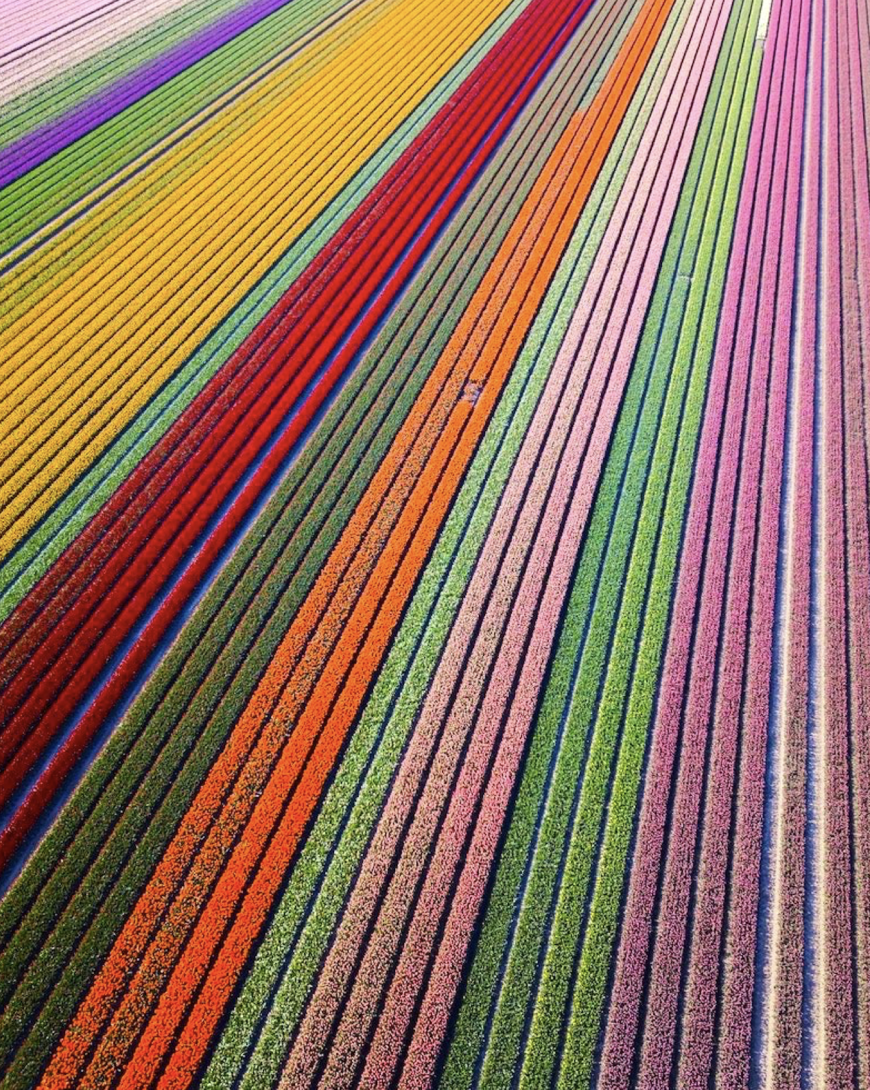 Screenshot 2024-07-16 at 2.15.40 PM.png