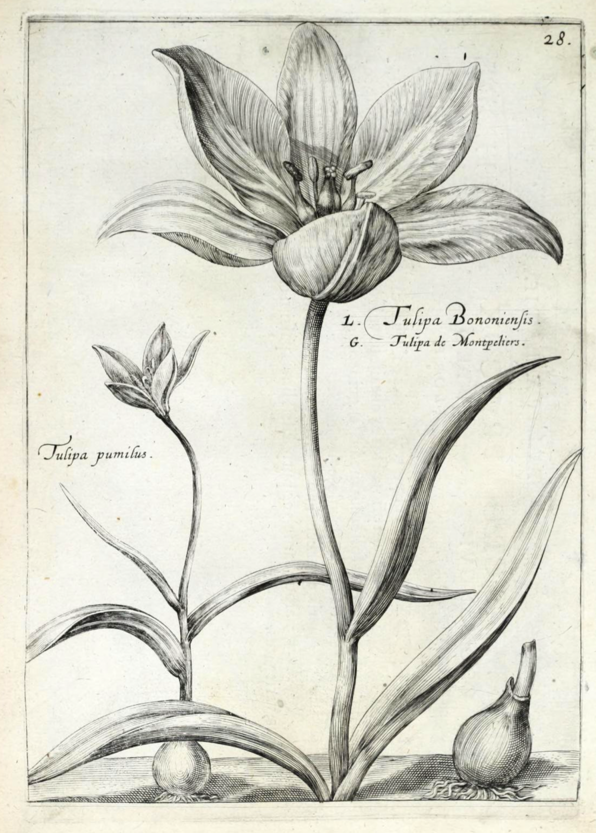 Screenshot 2026-02-25 at 1.42.32 PM.png