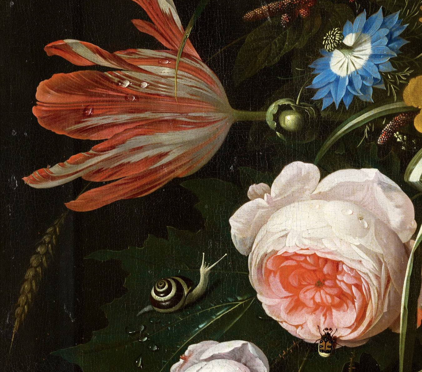 Screenshot 2026-02-25 at 6.32.51 PM.png