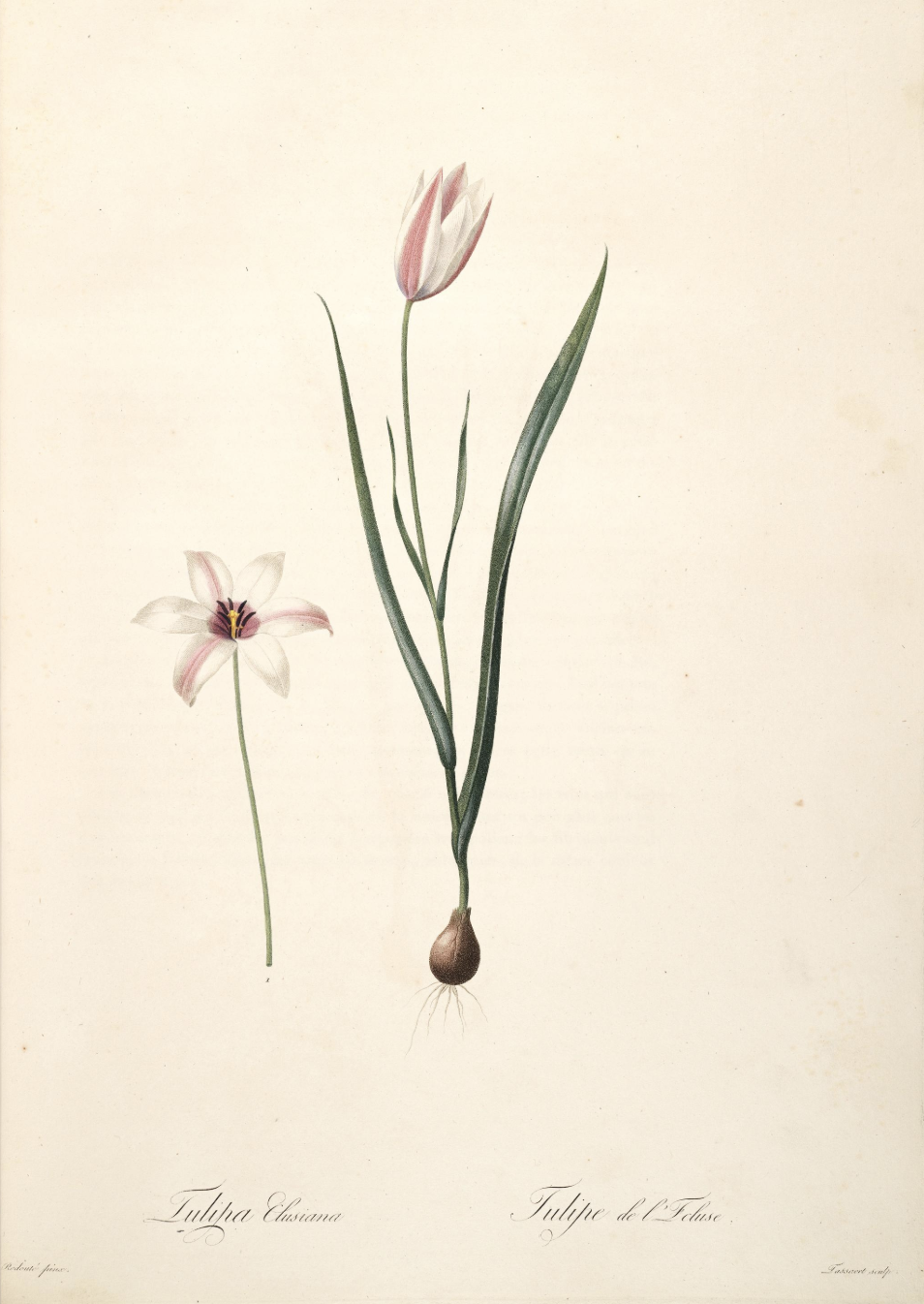 Screenshot 2026-02-26 at 7.47.48 AM.png