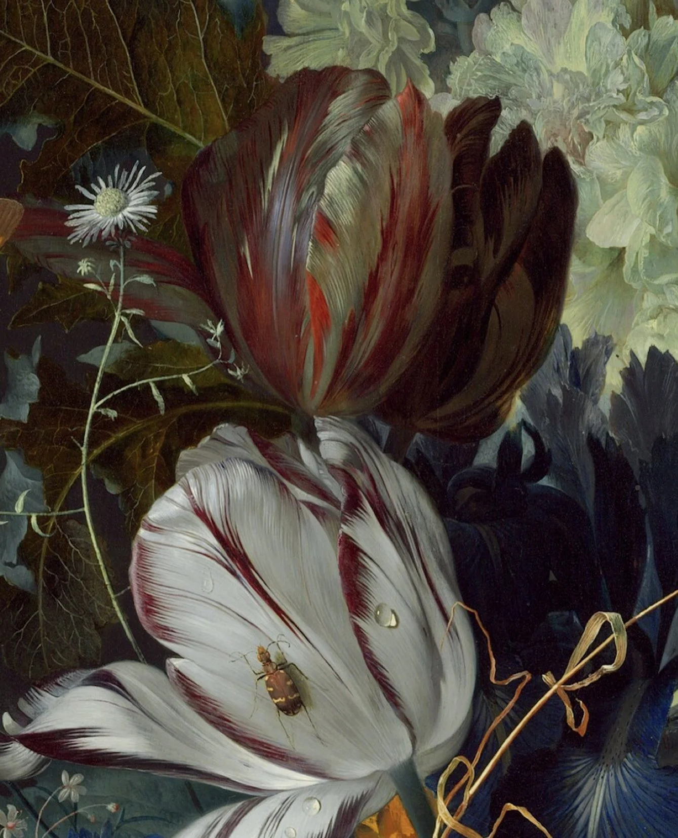 The dark irony of Tulipmania: the more beautiful the flower, the faster it died. 🥀⁠
⁠
In the 1630s, Dutch collectors paid fortunes&mdash;sometimes the price of a grand Amsterdam townhouse&mdash;for a single tulip bulb. They were specifically obsesse