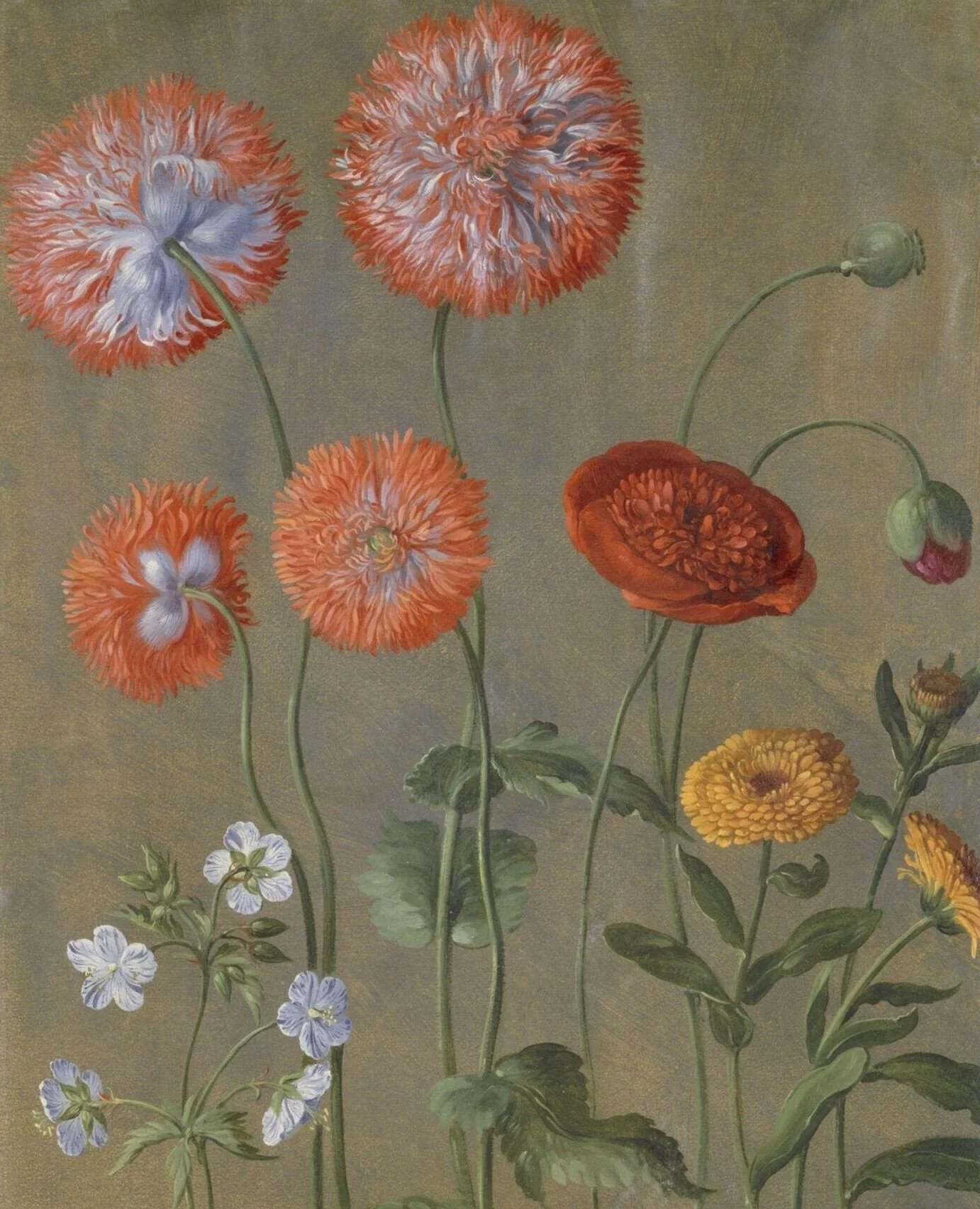 "Youth! youth! how buoyant are thy hopes! they turn, like marigolds, toward the sunny side."⁠
⁠
&ndash; Jean Ingelow⁠
⁠
Watercolor, 1654 (made), Johann Jakob Walther, Victoria and Albert Museum