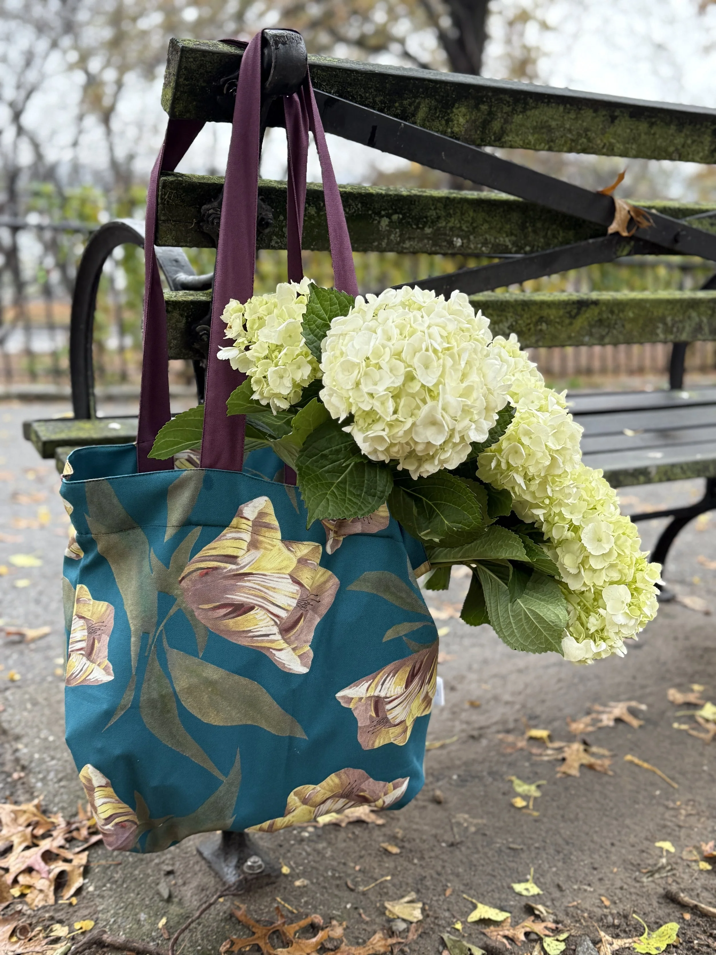 IMG_5439.jpg