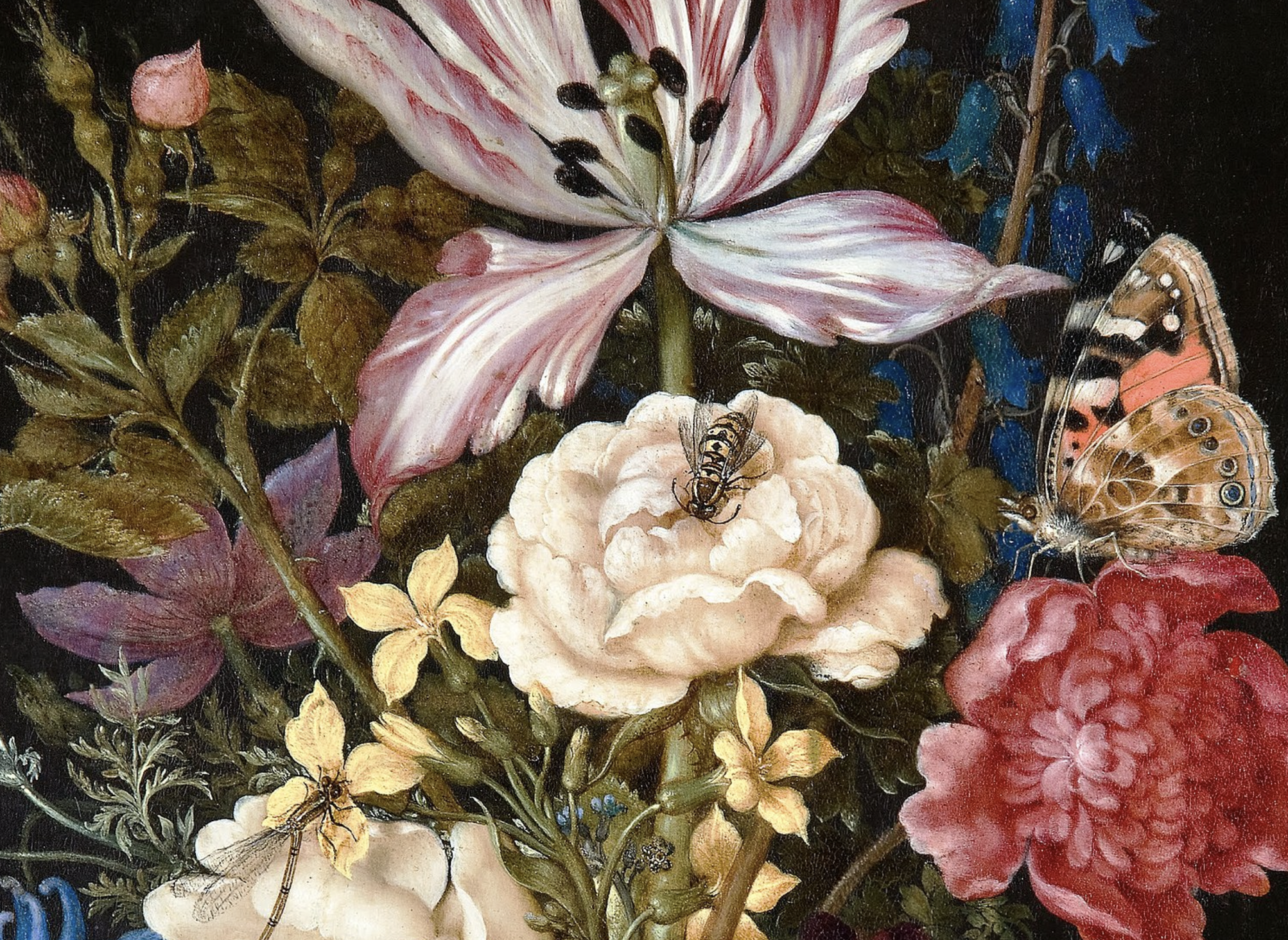The Secret and Symbolic Life of Insects in 17th-Century Still Lifes ...