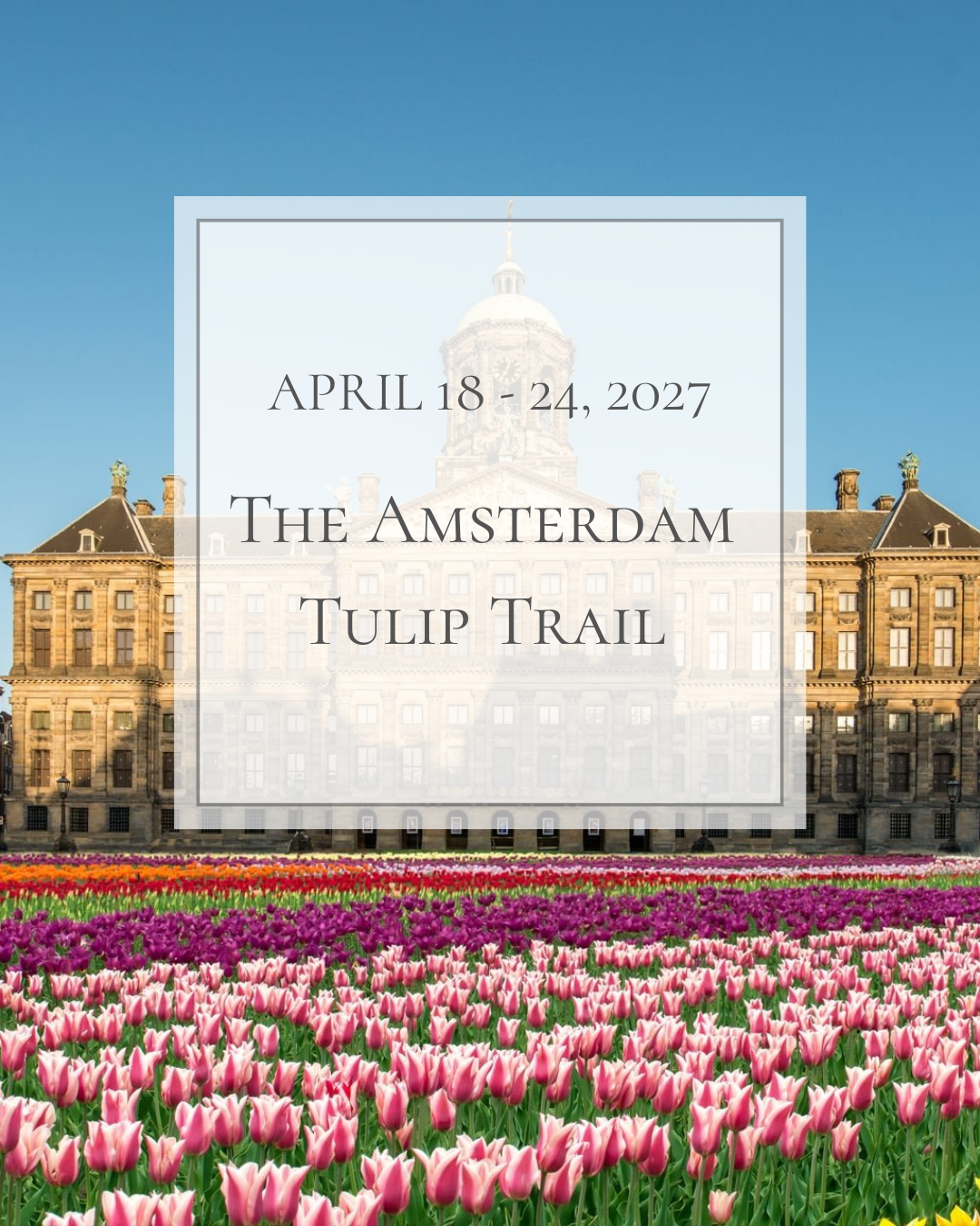 The Amsterdam Tulip Trail 2027