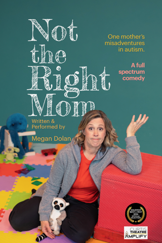 Not the RIght Mom POSTER .png