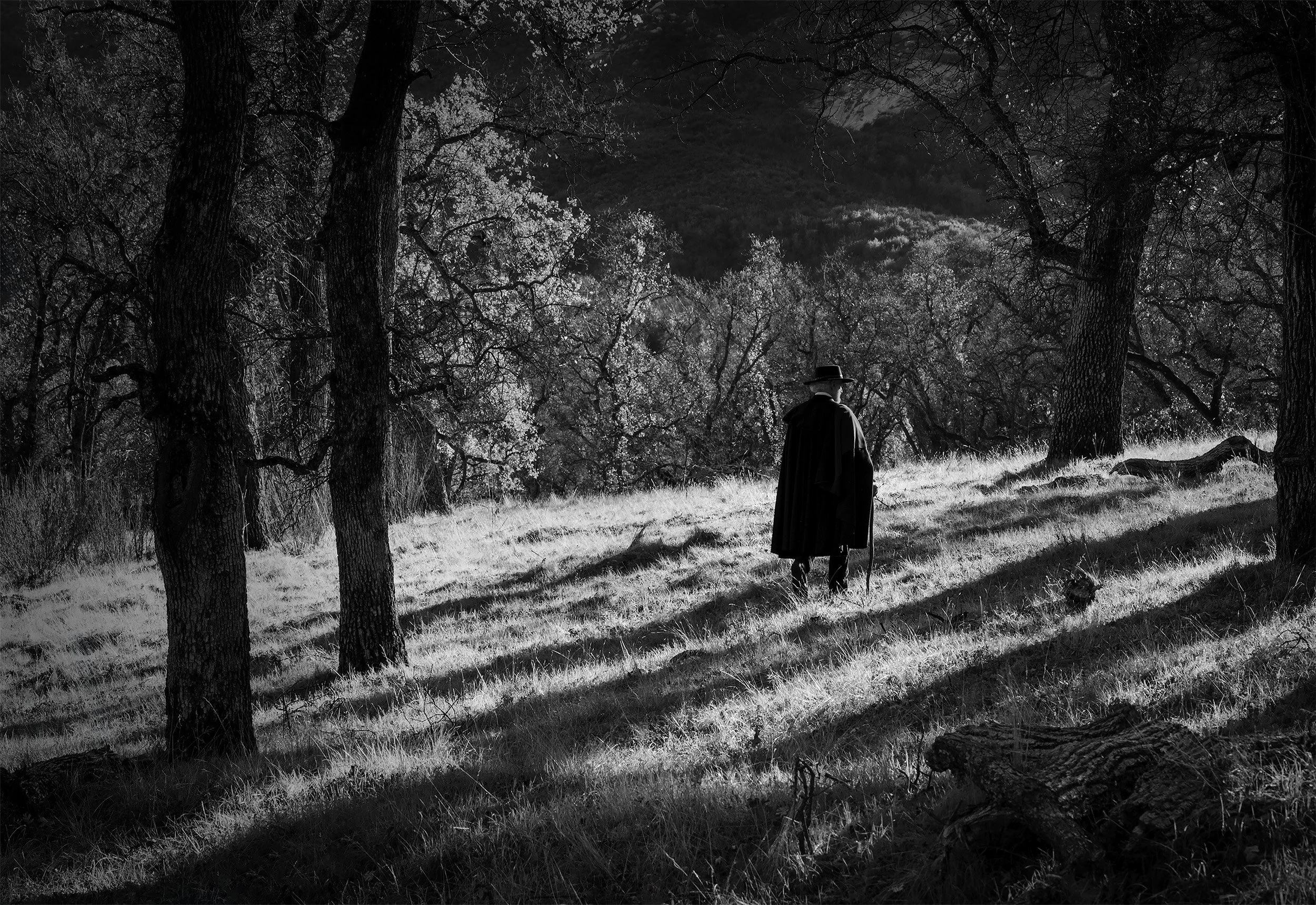 The Quiet Passage