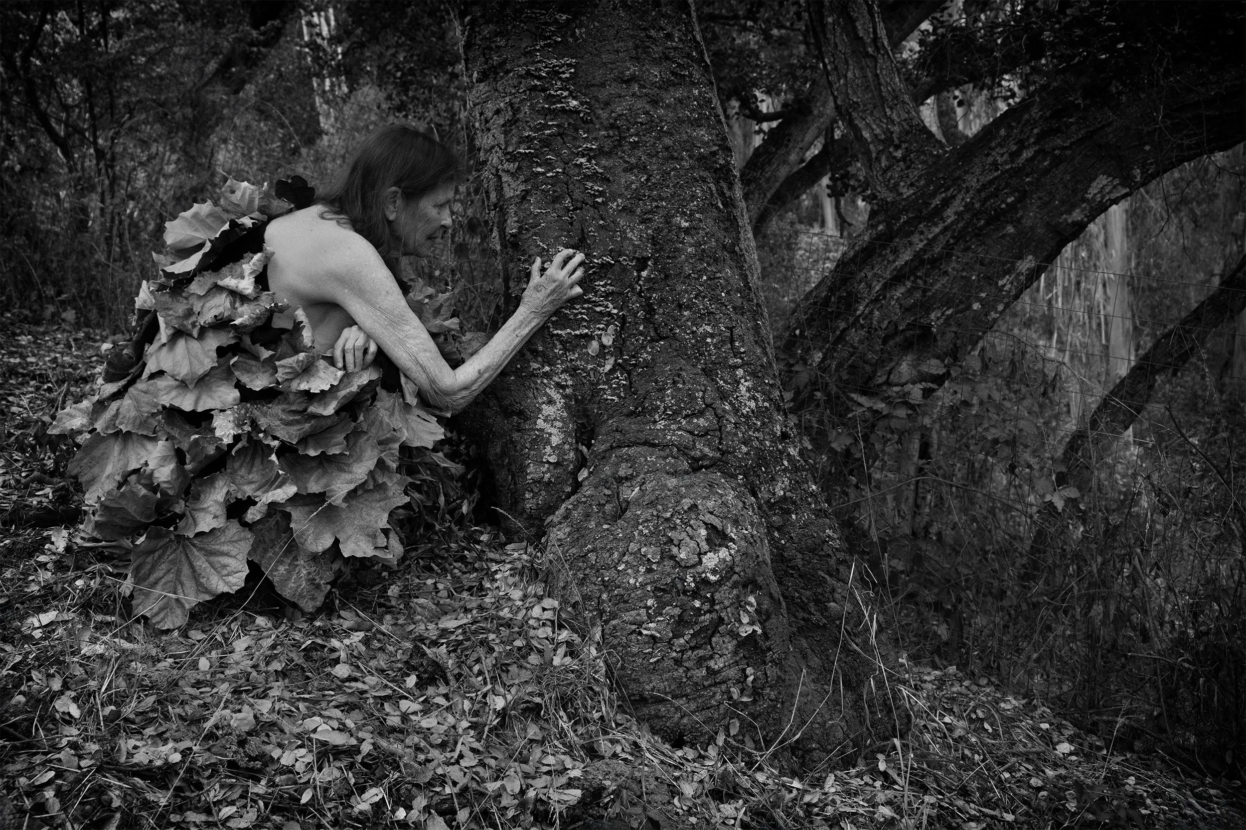 Rooted In Silence