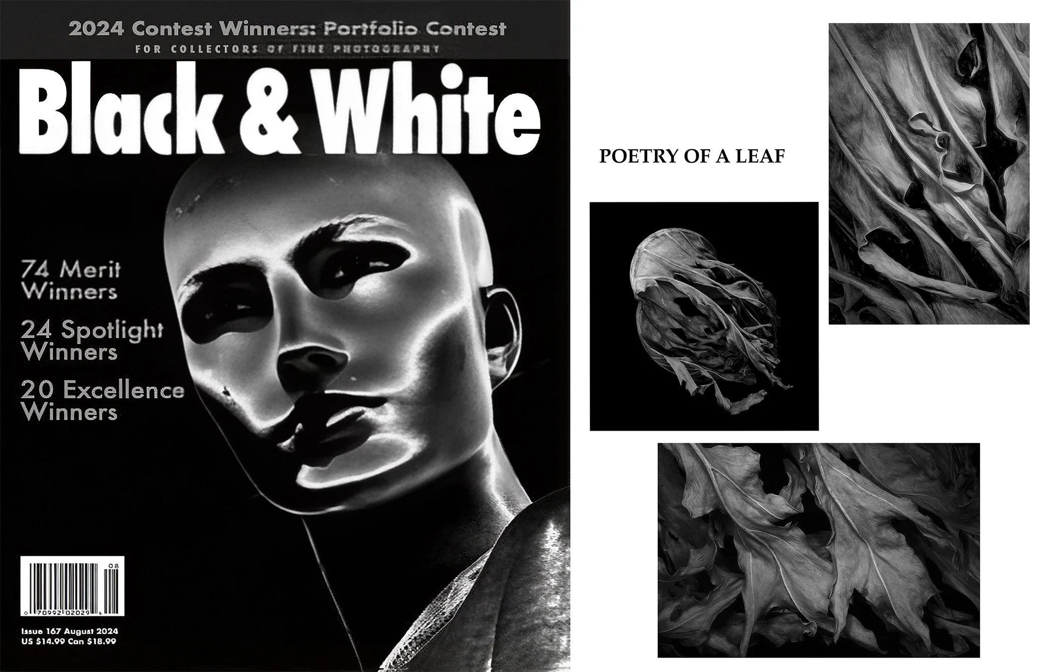 2024_Aug_BW_Poetry of a Leaf_#167_Publication.jpg