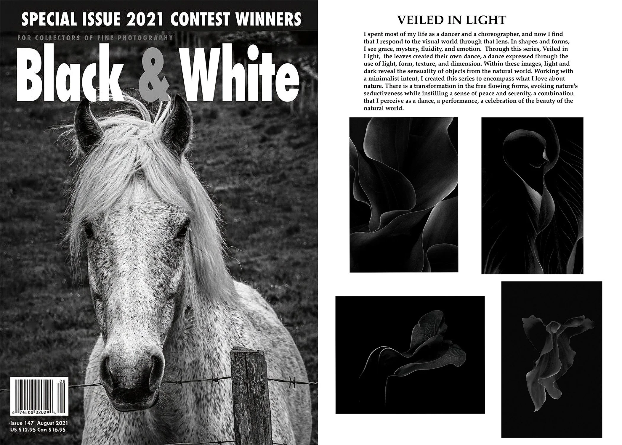 2021_Aug_BW__147_Veiled In Light_Publication_.jpg