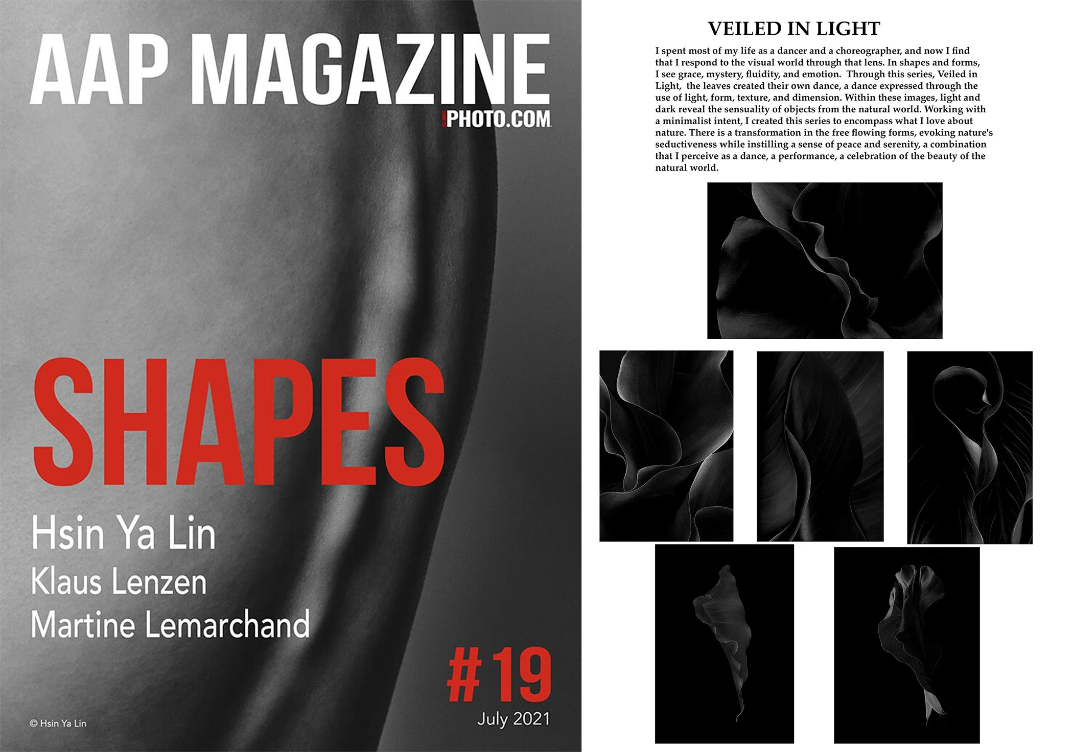 2021_AAP_Shapes__19_Publication_.jpg