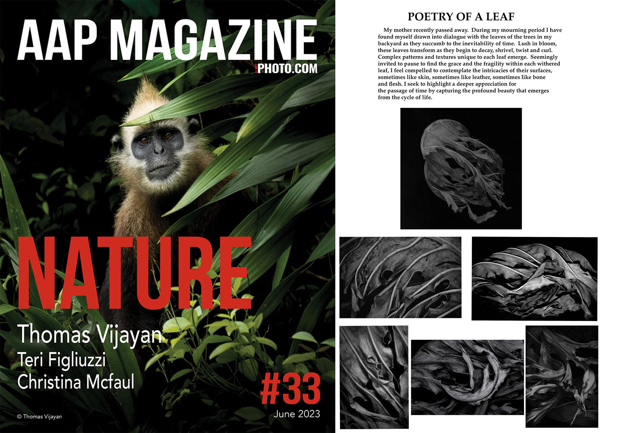 2023_AAP_Nature_Publication_.jpg