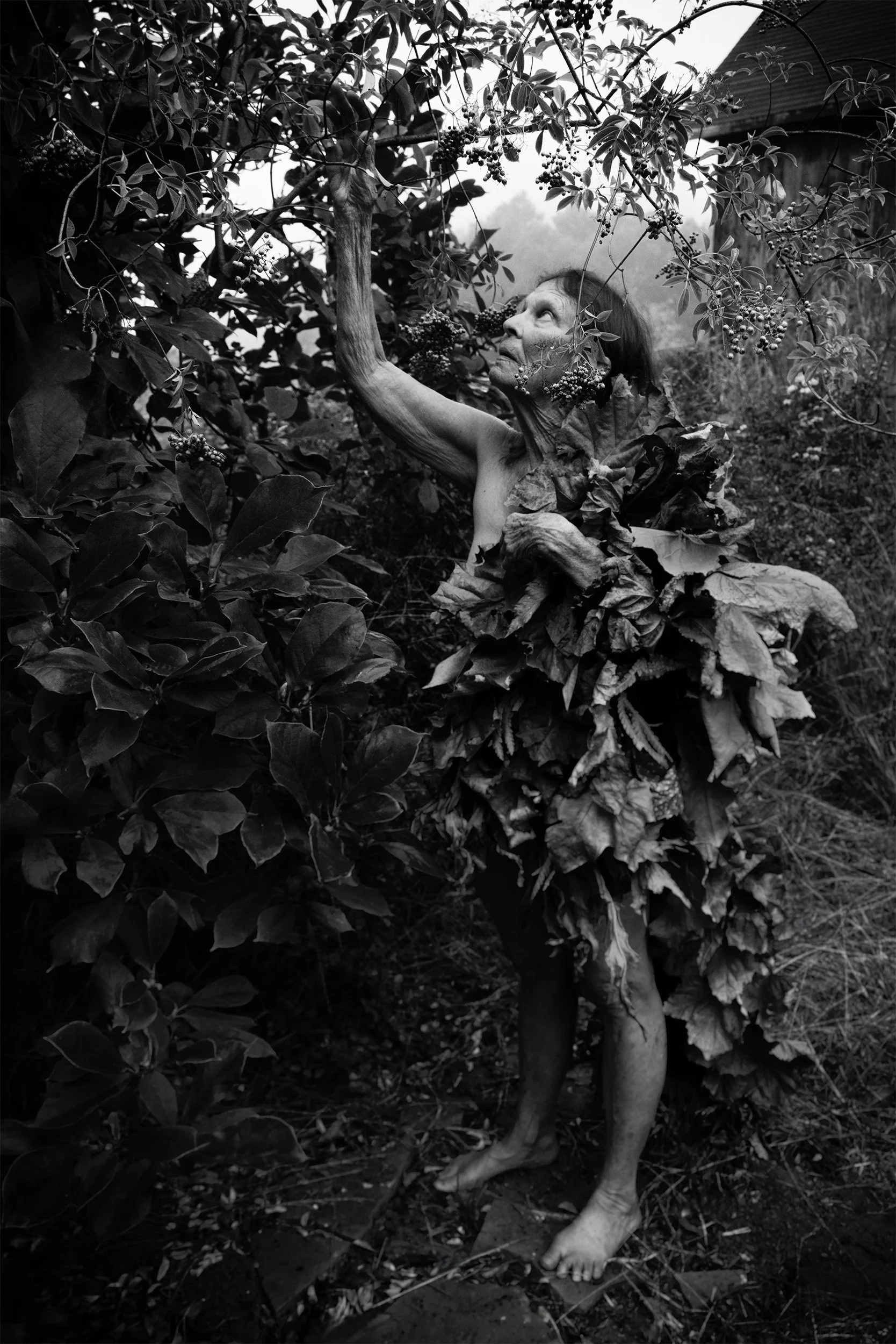 The Forager