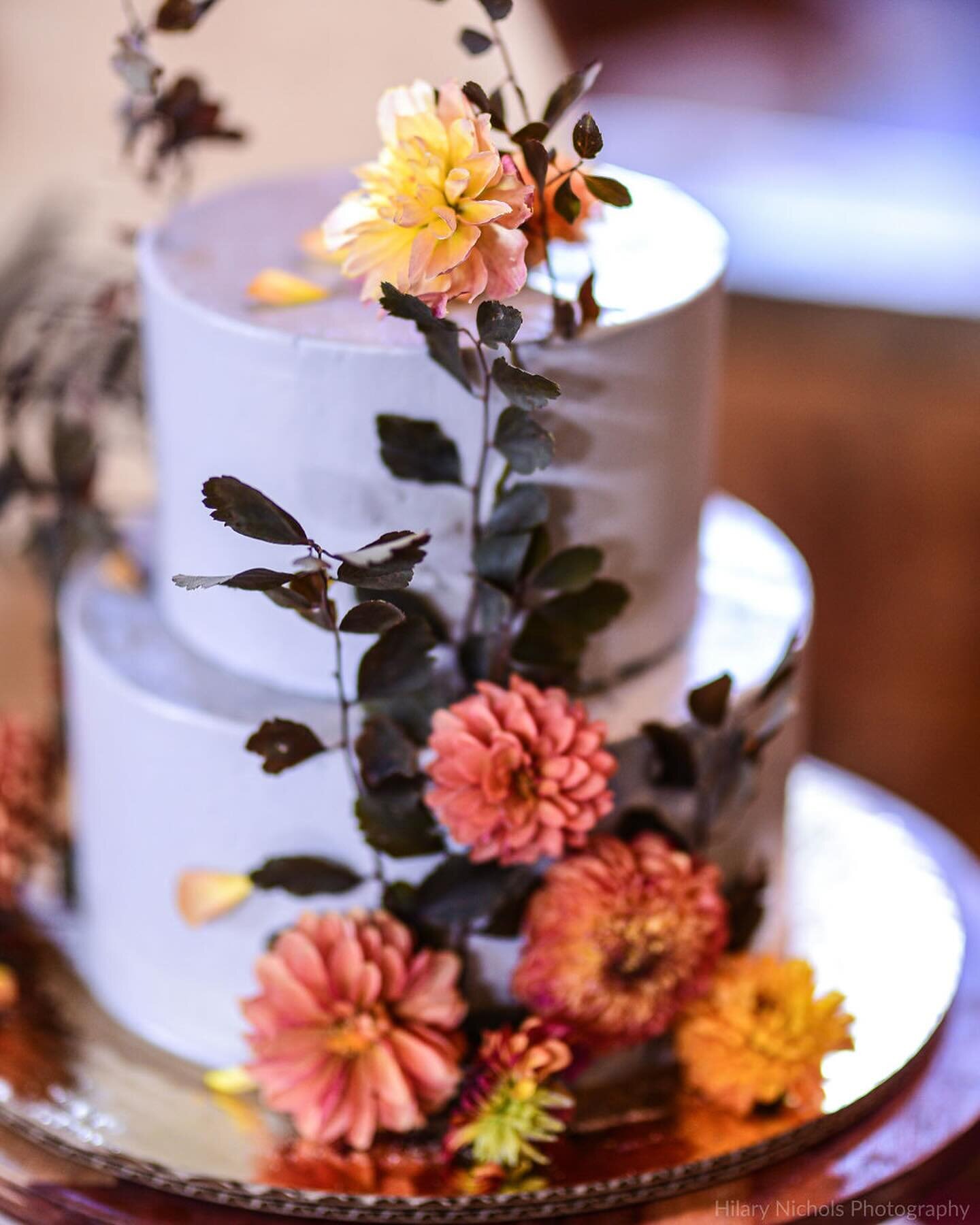 Going to be sharing some amazing photos taken by @hilarynicholsphotography from this years expo ✨✨✨ cake by @botanical_bakeshop ✨✨✨