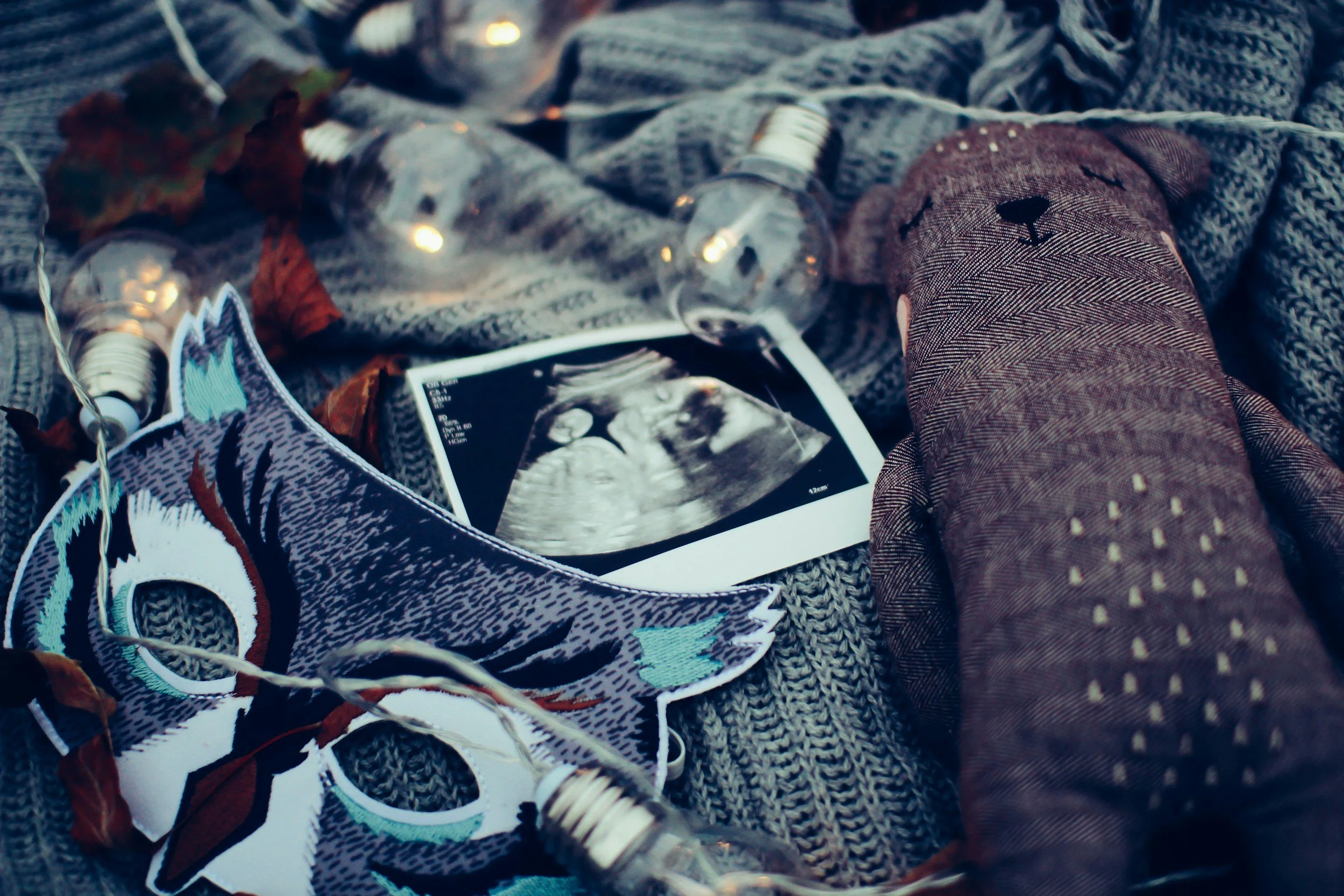 An ultrasound image, a decorative embroidered patch of a wolf, and a plush bear with closed eyes are arranged on a knitted blanket, surrounded by string lights and autumn leaves.