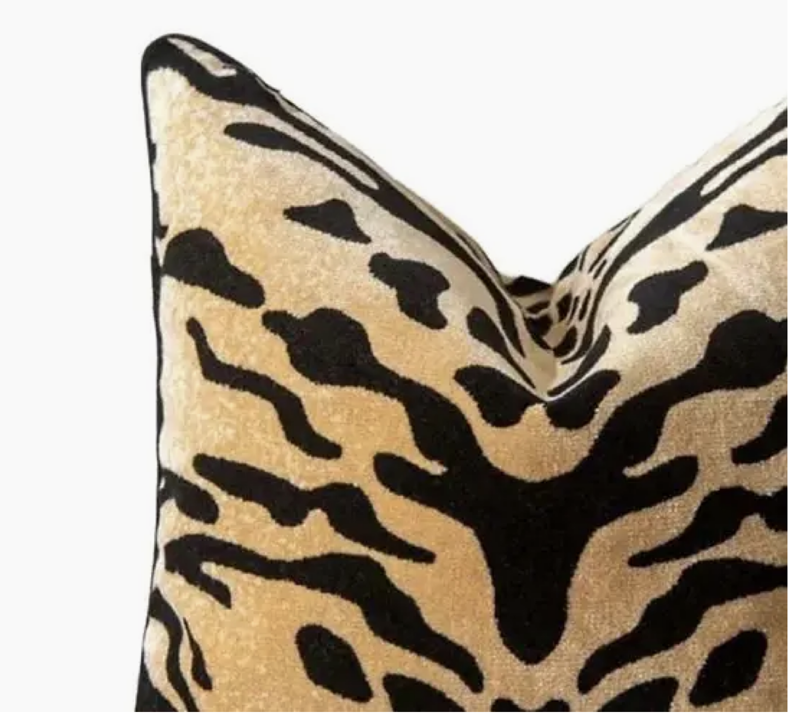 Screenshot 2026-01-12 at 2.49.02 PM.png