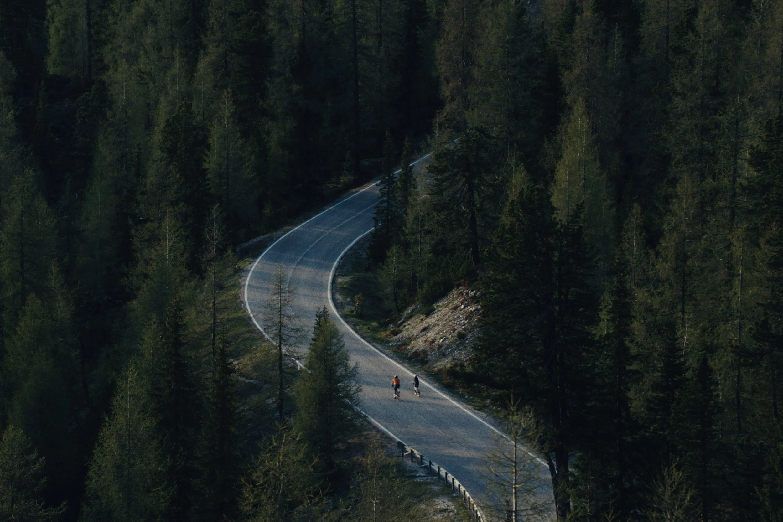Giant Bicycle Seek