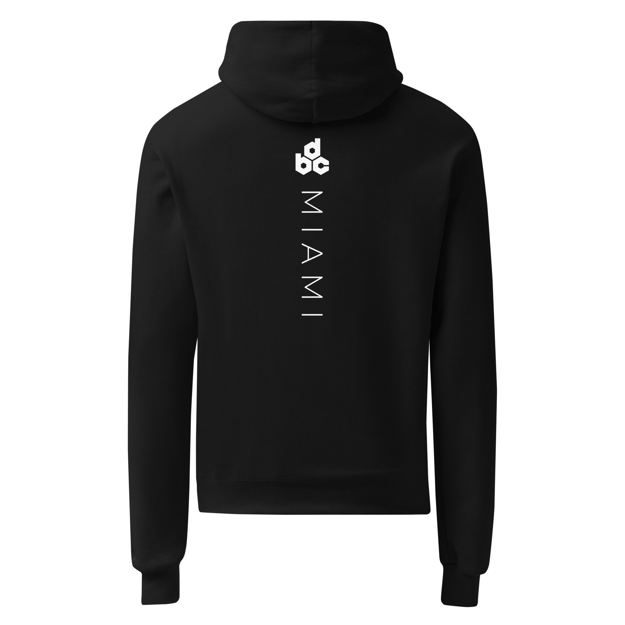 unisex-champion-hoodie-black-back-6877b02832a82.jpg