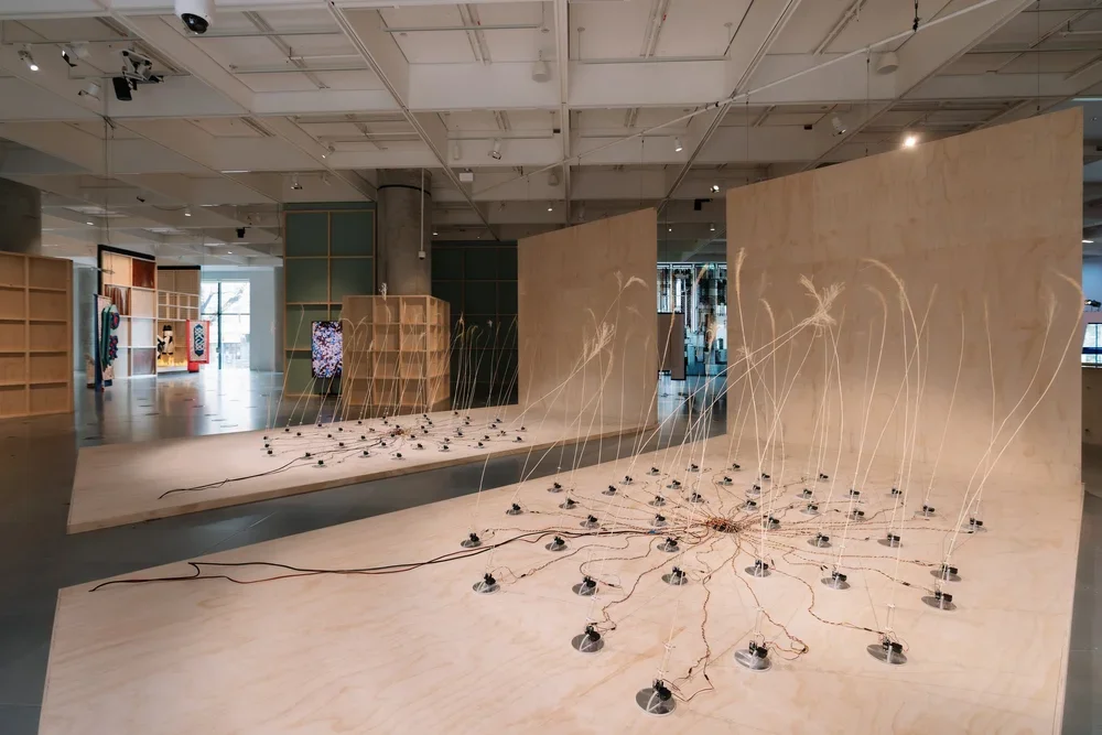 studio-peter-king-science-gallery-melbourne-emergence-y24.jpg.webp