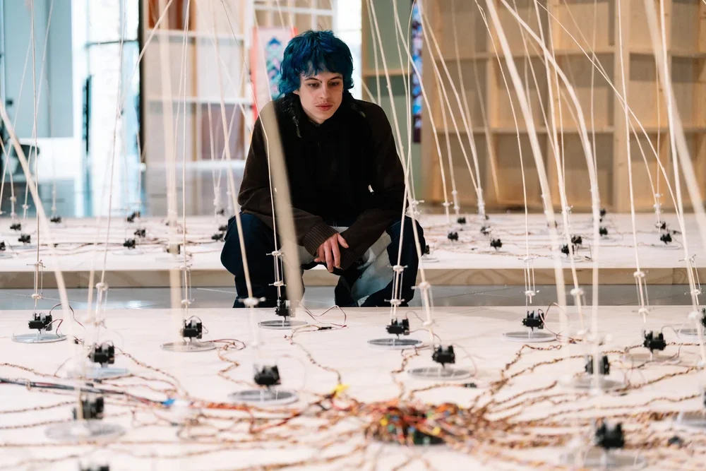 studio-peter-king-science-gallery-melbourne-emergence-y19.JPG.webp
