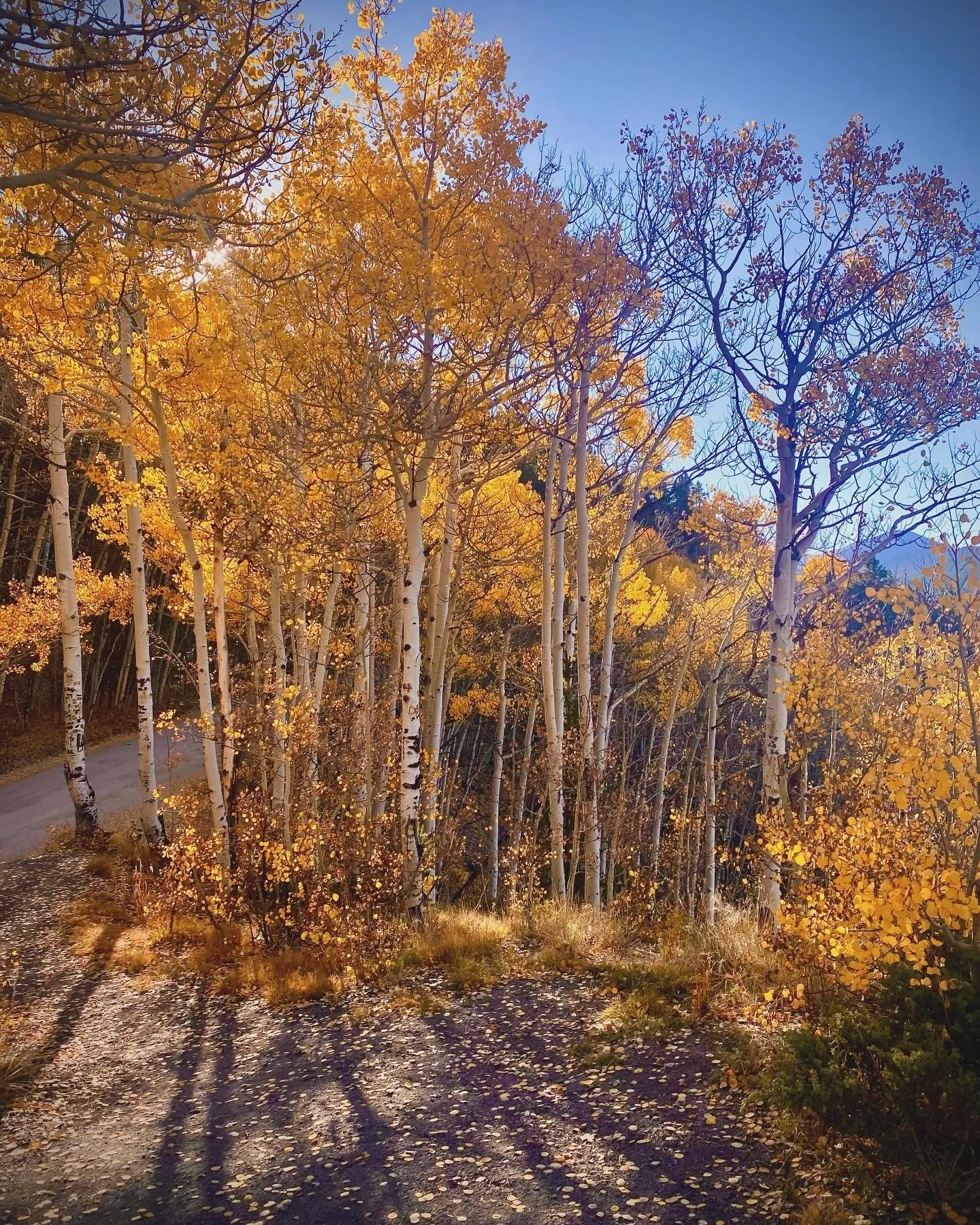 CO Route 9, September &lsquo;24.