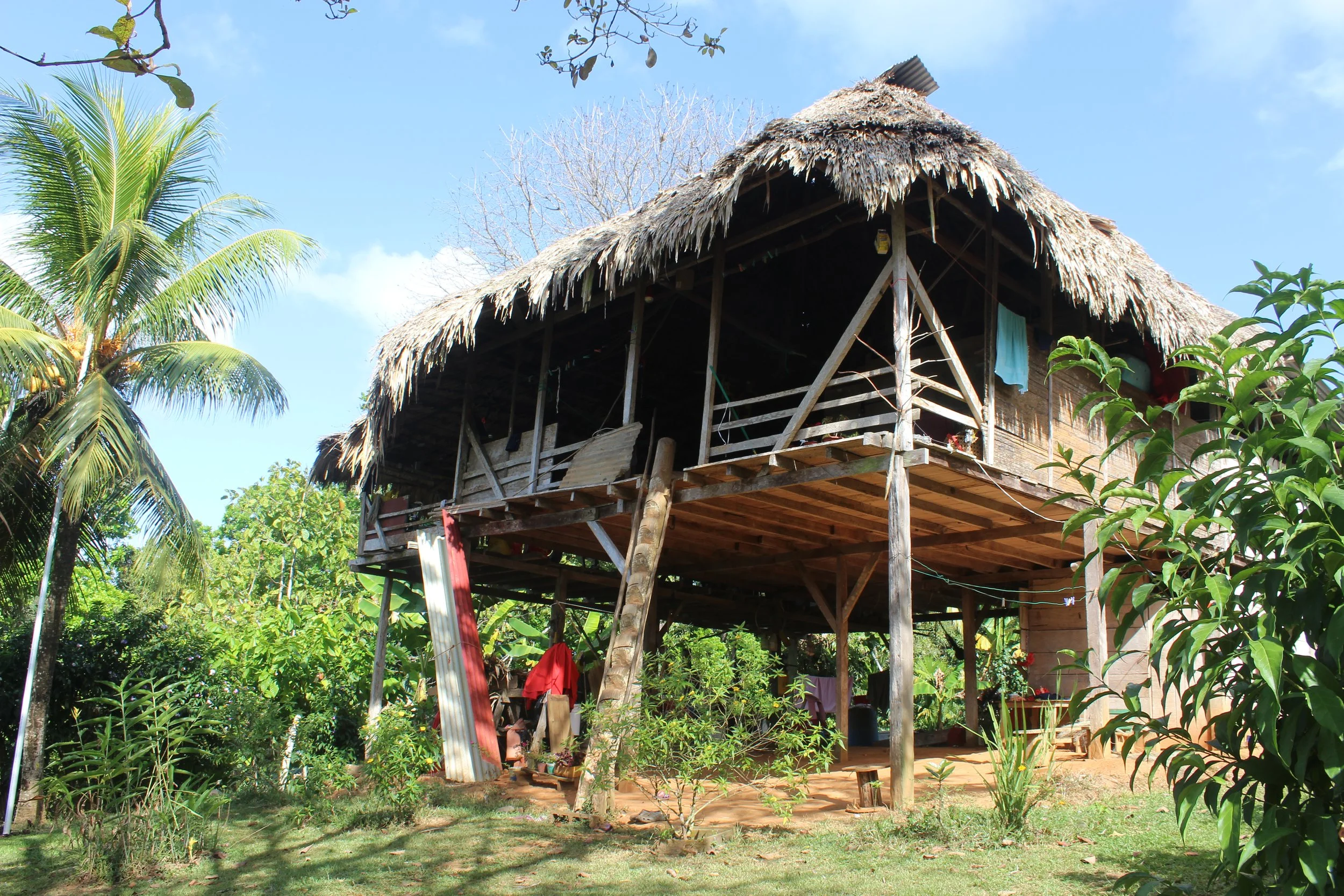 tusipono.JPG