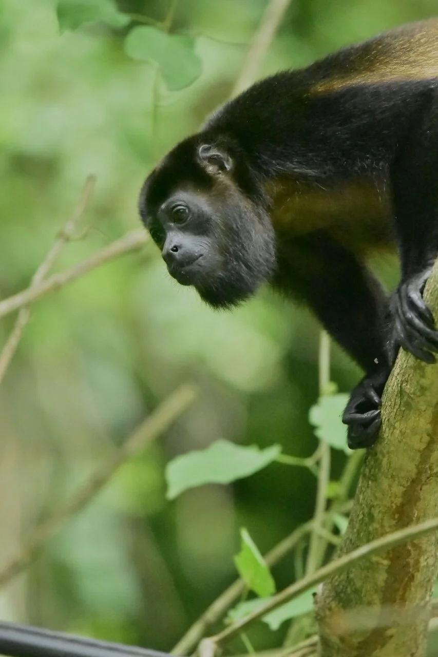 WhatsApp Image 2017-09-06 at 7.14.26 AM.jpg