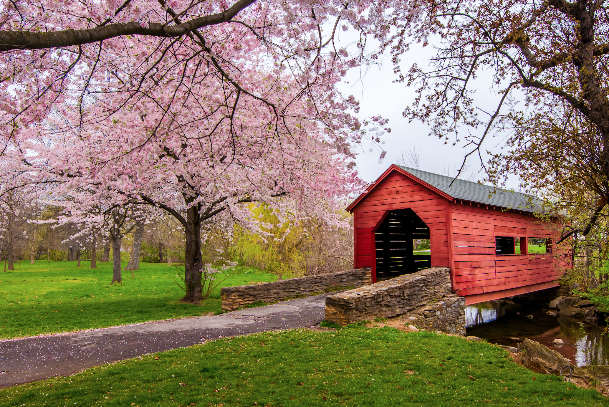 EMDR and Domestic Violence &amp; Sexual Assault: Overcoming Trauma and Moving On