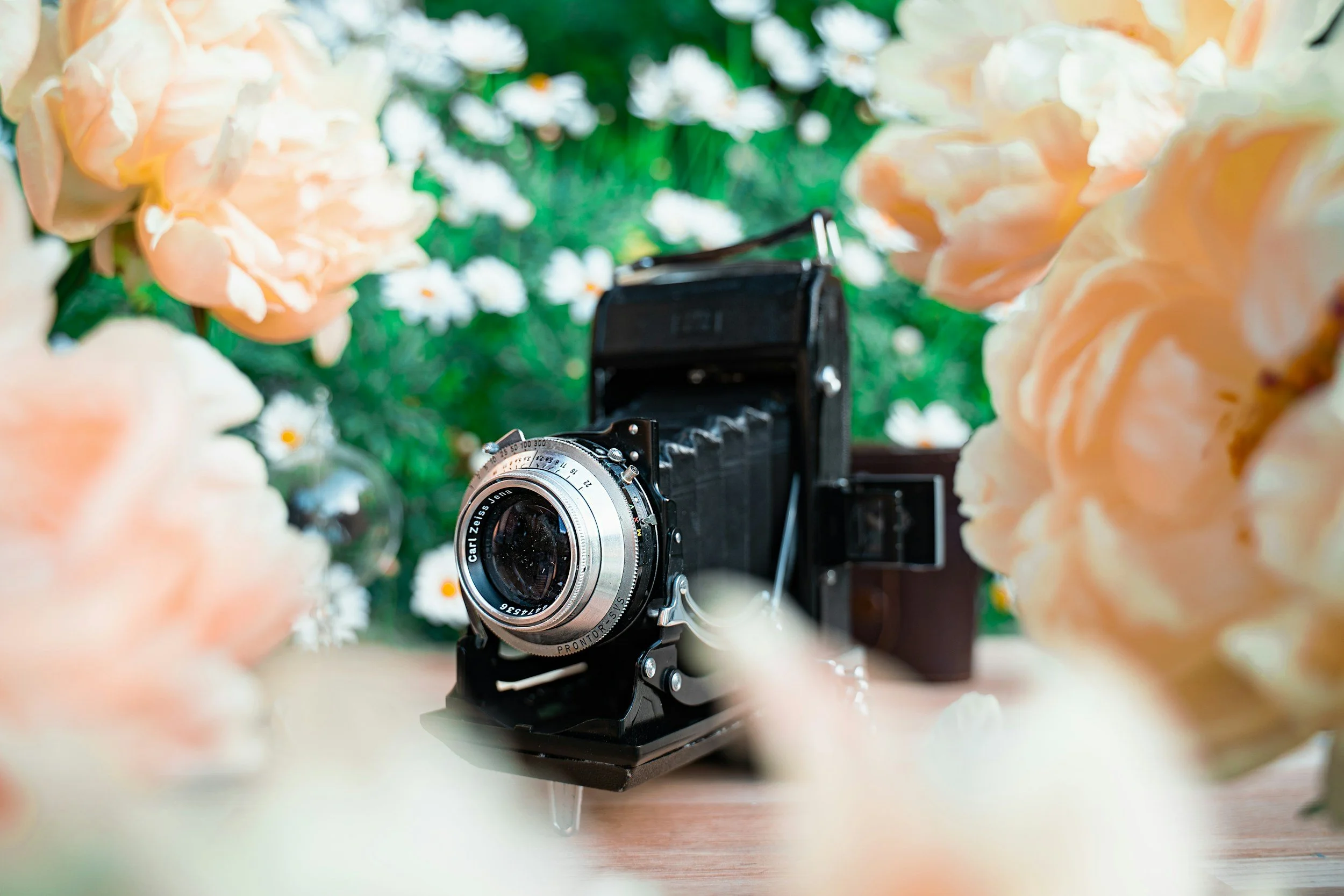 Bringing it all Home: Garden Photography, Garden Making, and the Art of Seeing