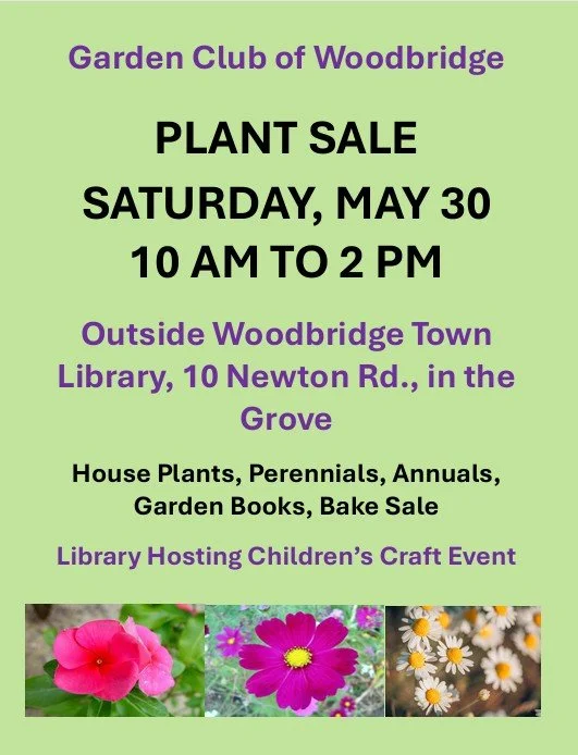 Plant Sale