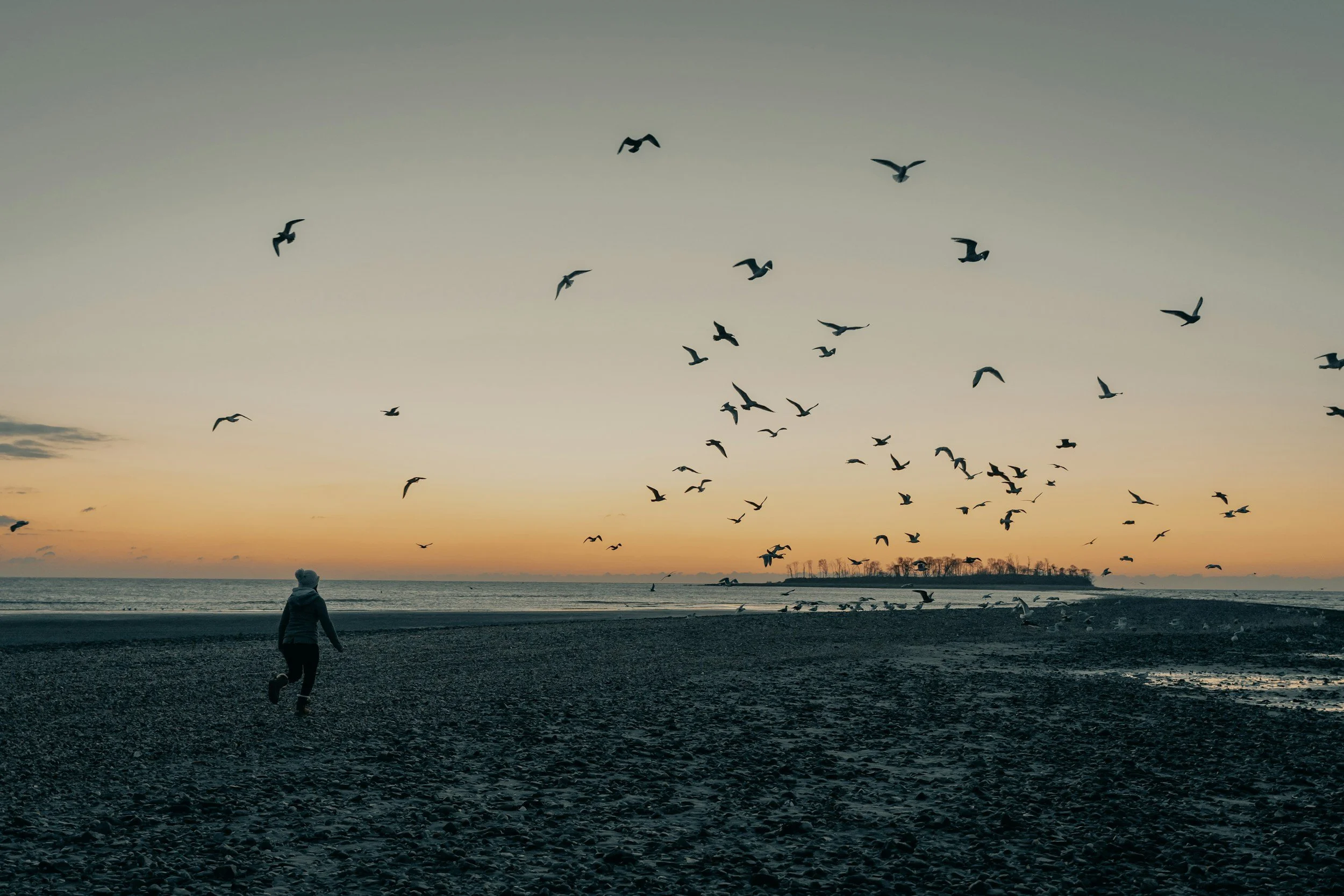 Visit to the Connecticut Audubon Coastal Center at Milford Point