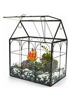 Terrarium Gardens