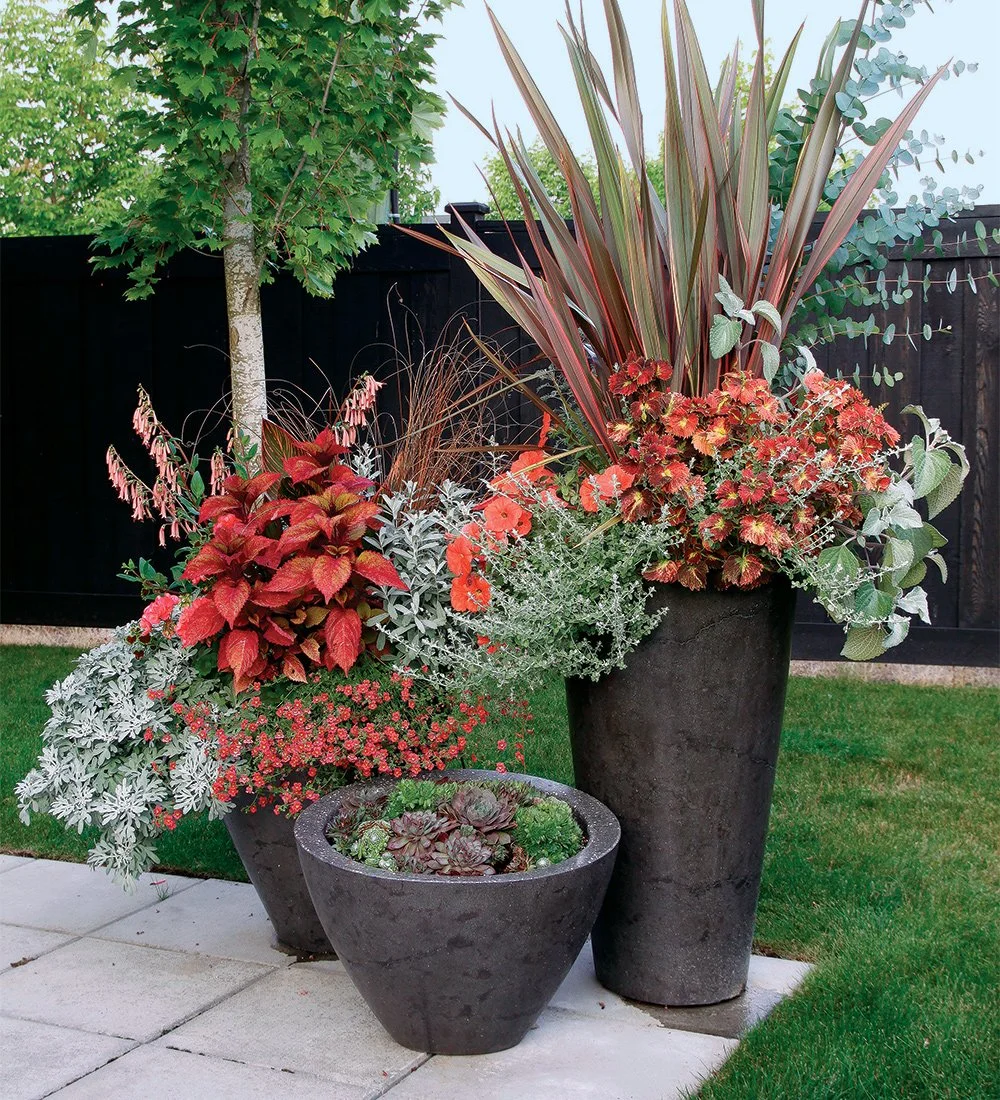 Club's Annual Meeting and Container Garden Arrangements