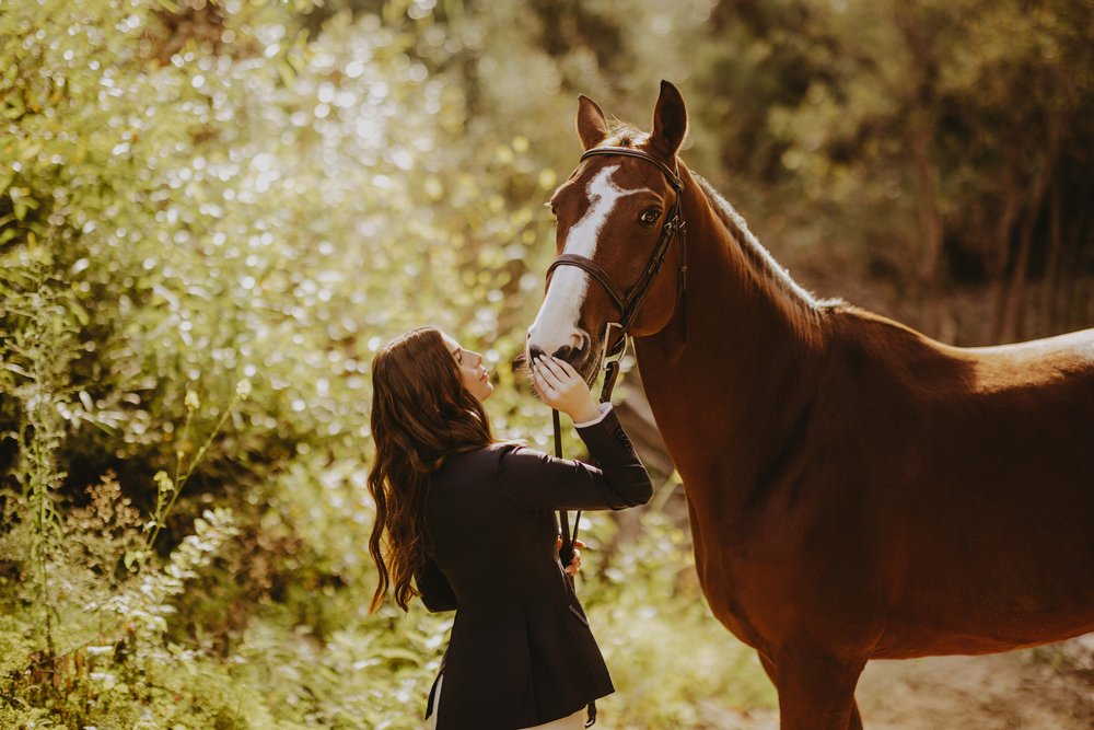  senior pictures with a horse 