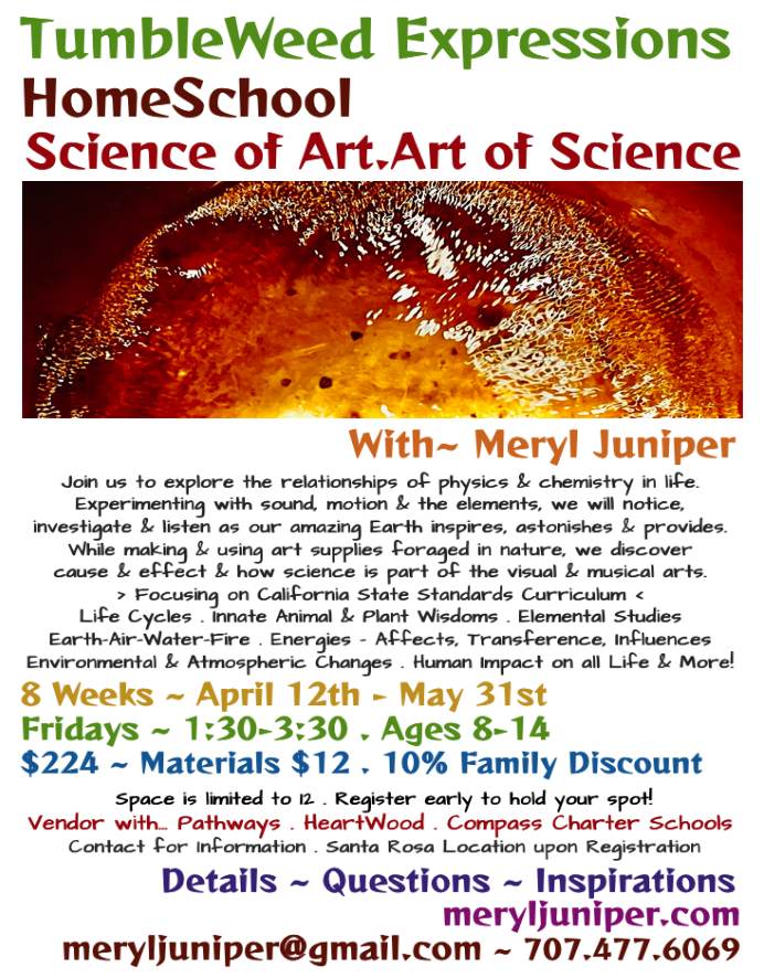 Science of Art Art of Science HomeSchool 2024.png
