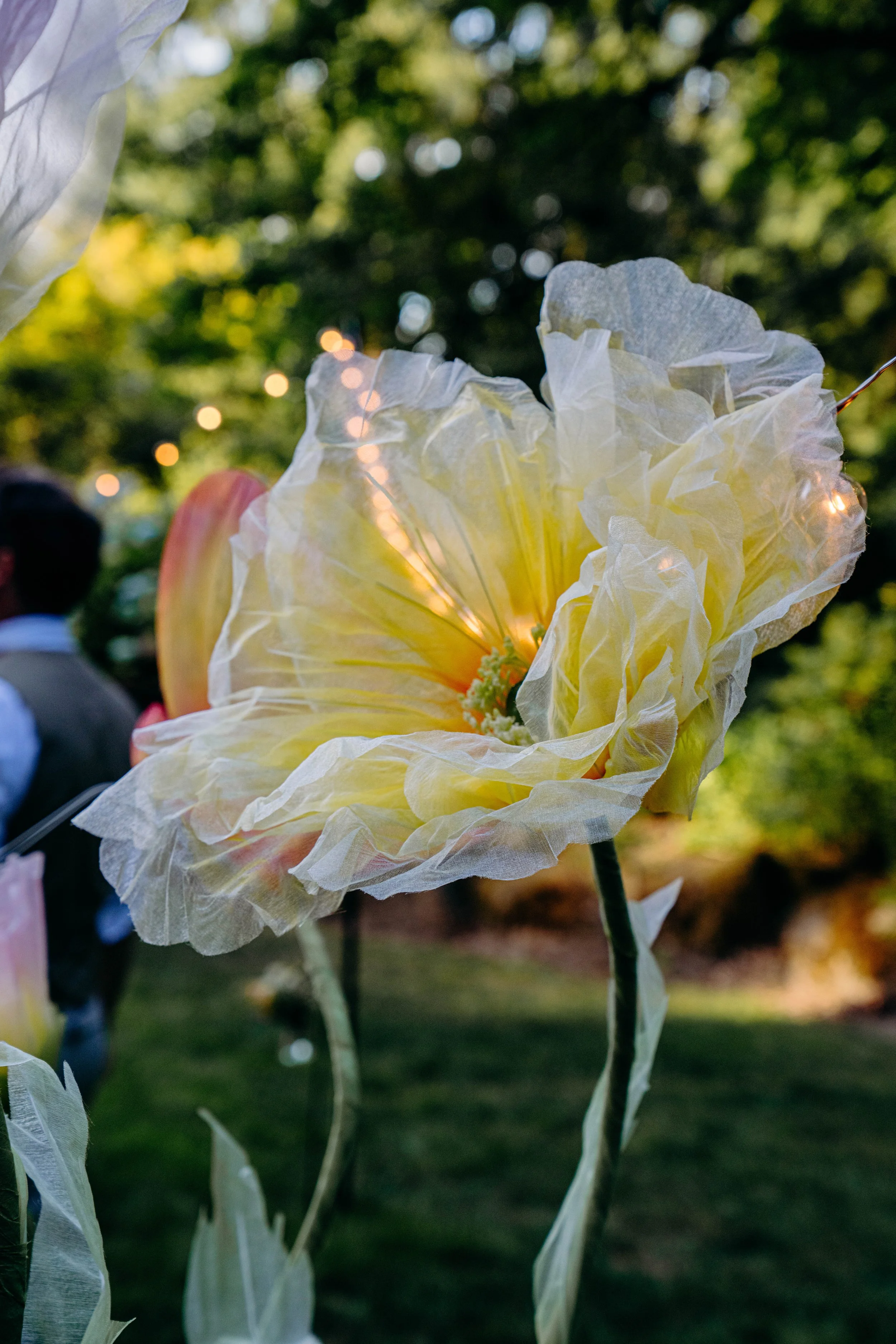 Close-up of a large artificial flower made of tissue paper with yellow and orange hues, illuminated by string lights, outdoors with greenery and a blurred person in the background.