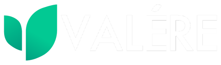 Valere Partners Risk Succession Planning & Practice Acquisitions | Valère Group