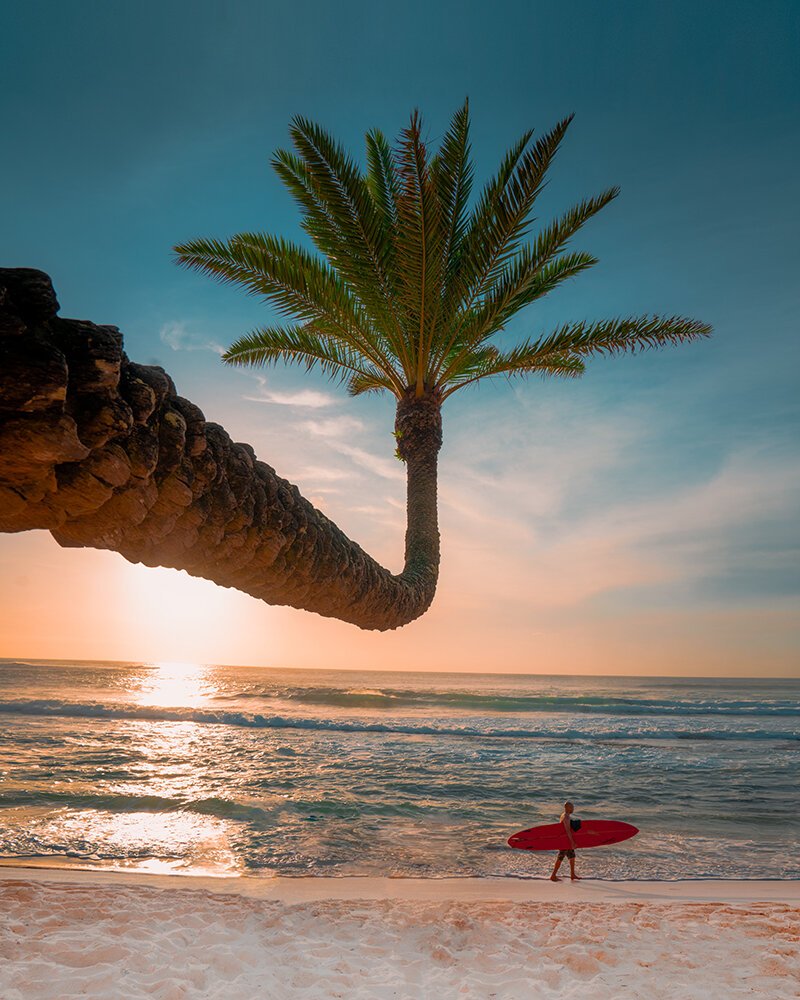 ALOHA_ForWeb.jpg