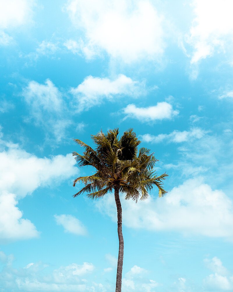 CLOUDY_ForWeb.jpg