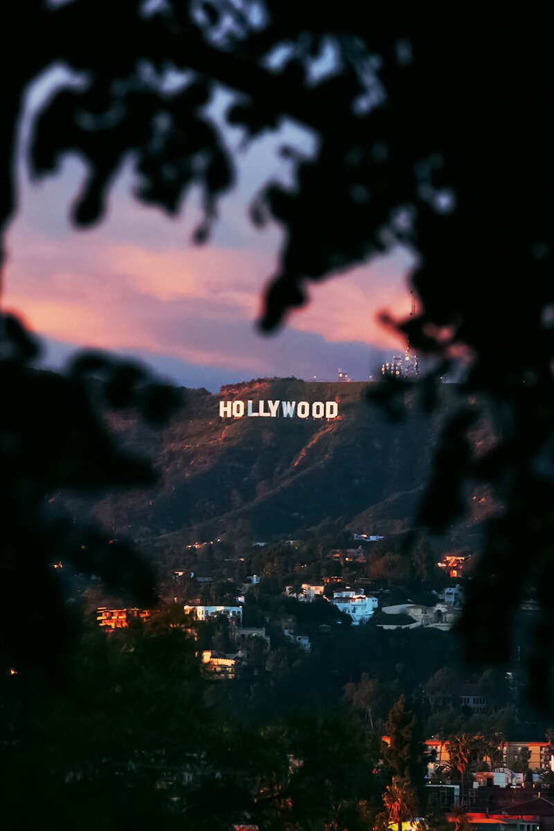 HOLLYWOOD_ForWeb.jpg