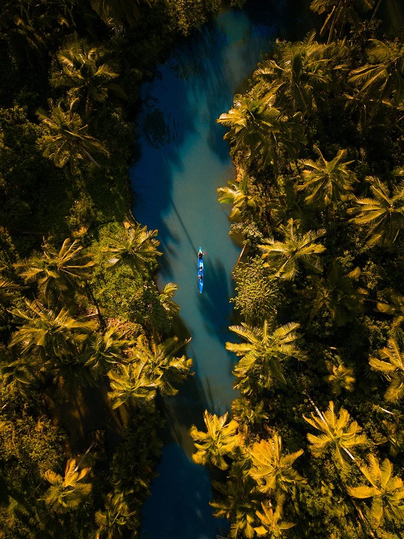 MEANDER